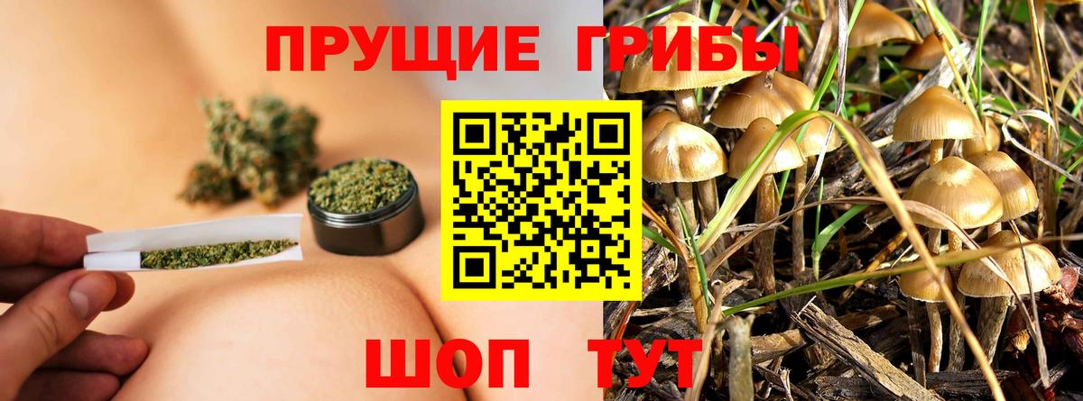 Галлюциногенные грибы Cubensis Туймазы